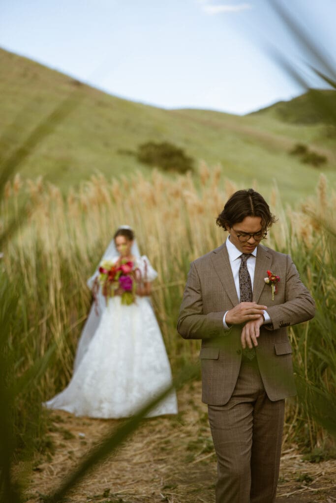 wes Anderson inspired first look at tunnel springs park