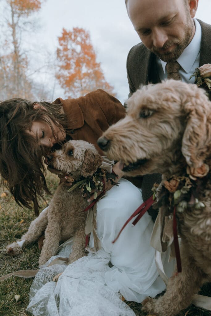 Bride and groom and dogs at golden hour portrait at private mountain estate with autumn colors in Park City Utah