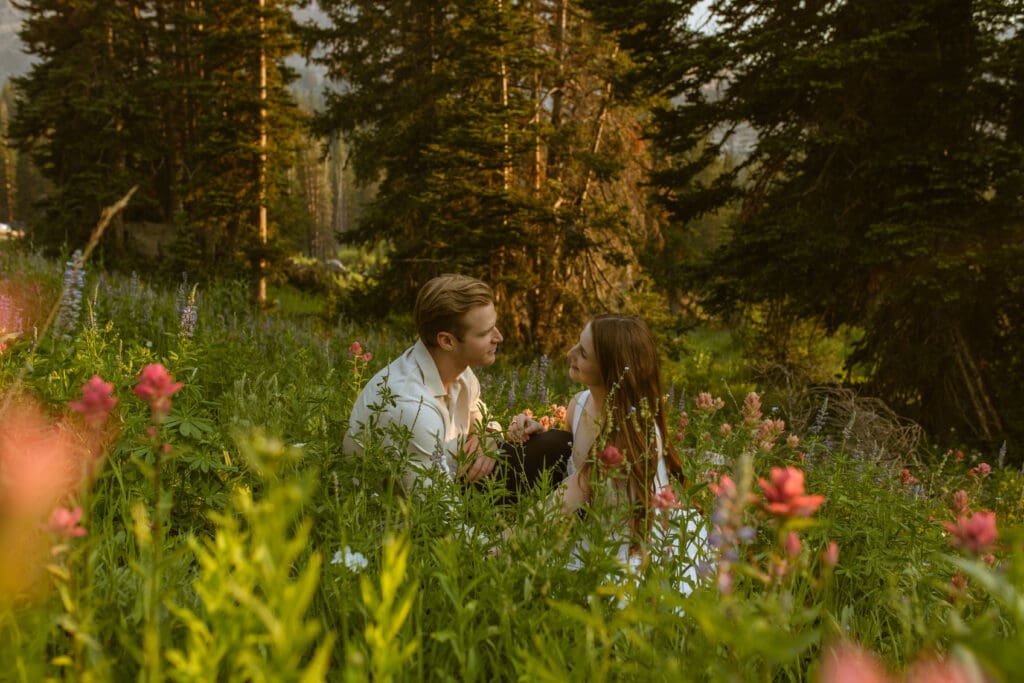 Flower fields in the mountains picnic in Little Cottonwood Canyon